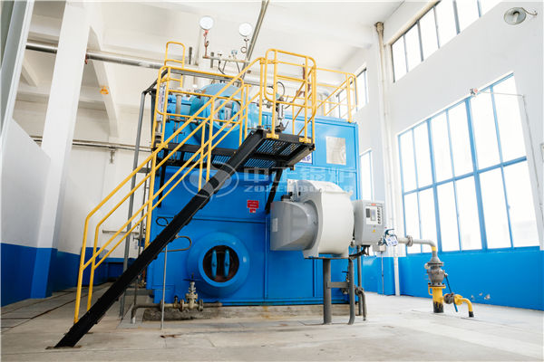 低壓蒸汽固體燃料鍋爐