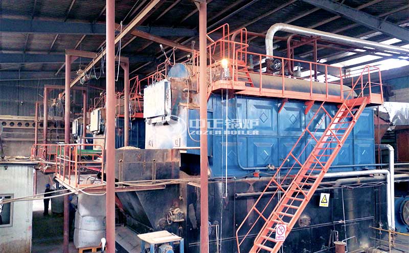 10噸導(dǎo)熱油鍋爐價格實(shí)拍