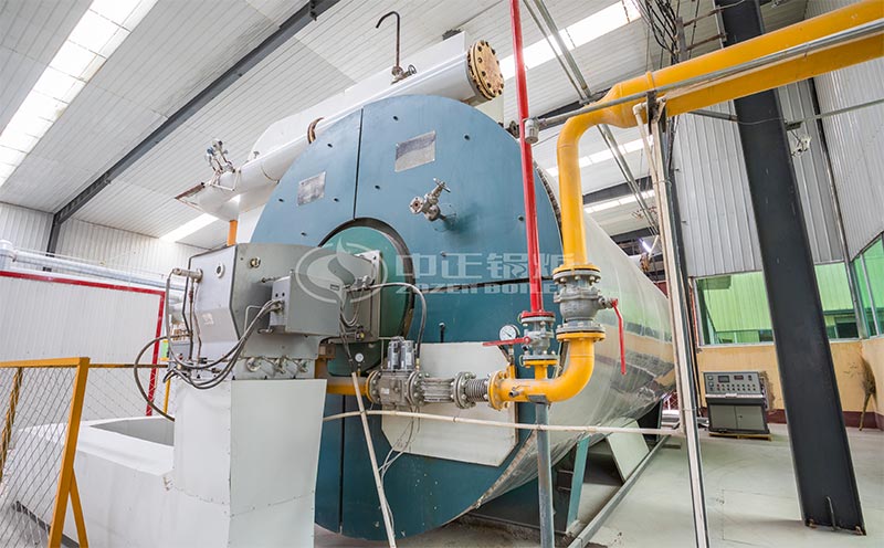 2t/h燃?xì)忮仩t價格客戶案例圖片