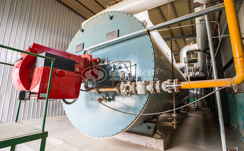 2t/h燃?xì)忮仩t價格客戶案例圖片