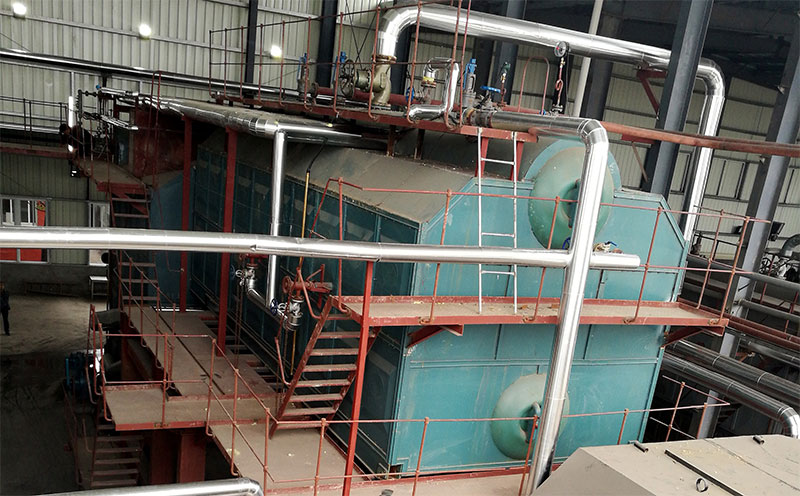 燃?xì)忮仩t撬裝方法有哪些客戶案例圖片