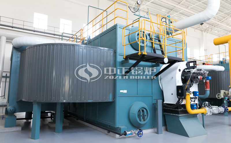 燃煤鍋爐價(jià)格客戶案例圖片