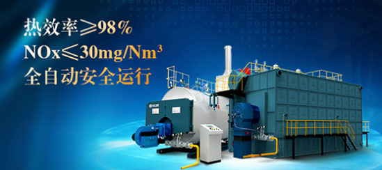 工業(yè)燃?xì)庹羝仩t廠(chǎng)家