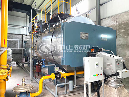 10t燃?xì)庹羝仩t圖片