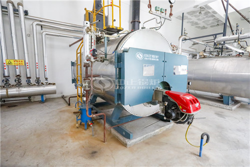 8T天然氣蒸汽鍋爐哪個(gè)更省錢(qián)一點(diǎn)
