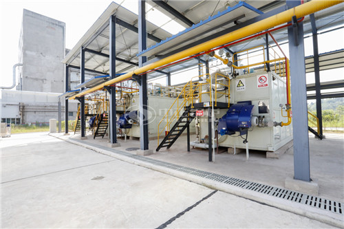 6噸燃?xì)庹羝仩t合適價位