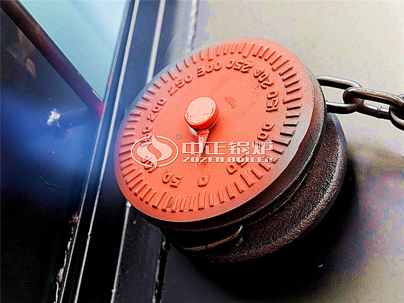 20T燃?xì)庹羝仩t制造廠