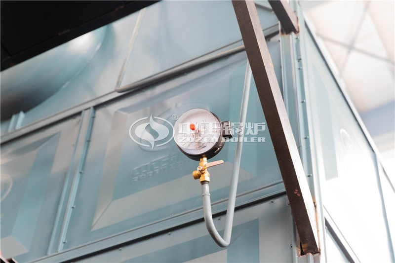 2噸燃?xì)庹羝仩t性?xún)r(jià)比怎么樣